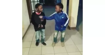 Cool Boys Trending Instagram Meme Download | Video & Audio Meme Video