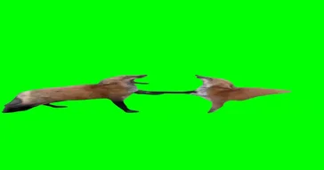 2 Witches Cheering Green Screen Meme Download | Video & Audio Meme Video