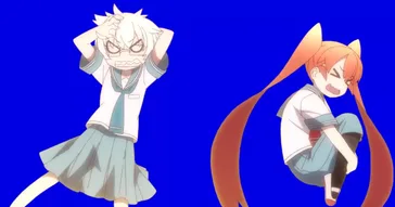 Yamamoto Meme Download | Video & Audio Meme Video