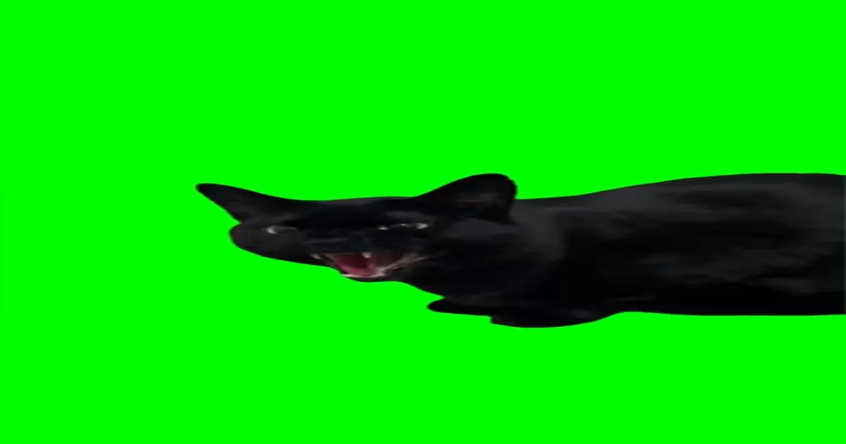 Ung Hrrr Meme Download Video