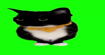 Uni The Cat With A Yellow Bowtie Green Screen Uni The Cat With A Yellow Bowtie Green Screen Video