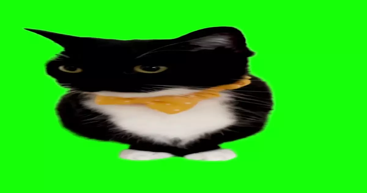 Uni The Cat With A Yellow Bowtie Green Screen Meme Download Video