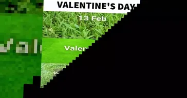Valentines Day Meme Video