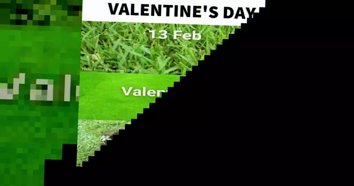 Valentines Day Meme Download Video