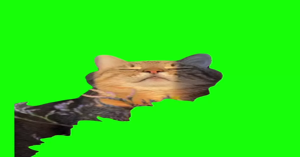 Vibing Cat Meme Download Video