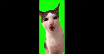 Ghost Floating Green Screen Meme Download | Video & Audio Meme Video