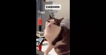 Cashier Giving The Wtf Look Meme Download | Video & Audio Meme Video