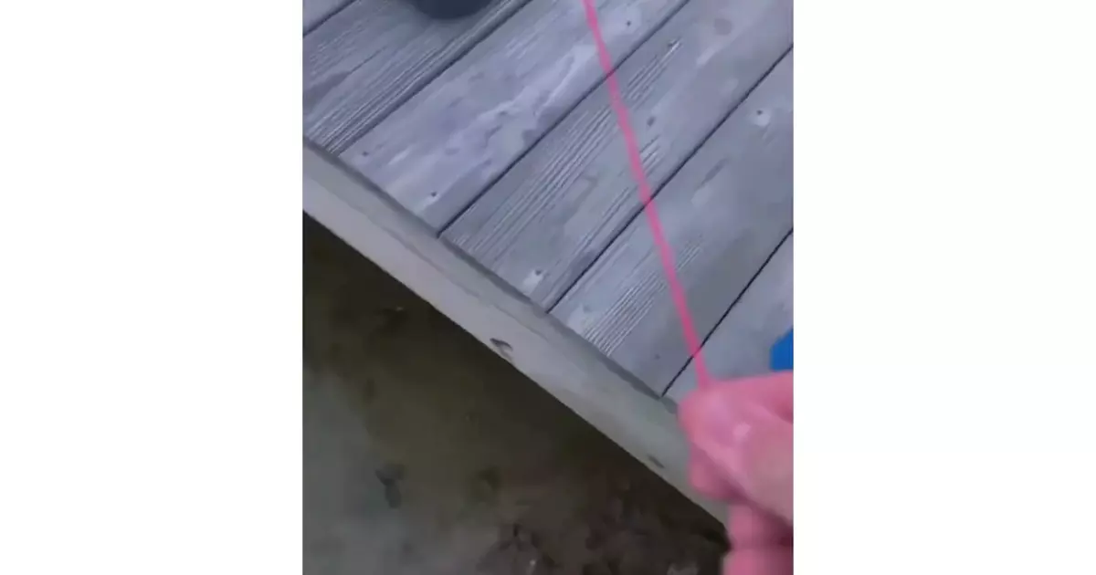 Viral Rocket Under Layer Of Ice Edit Instagram Meme Download Video