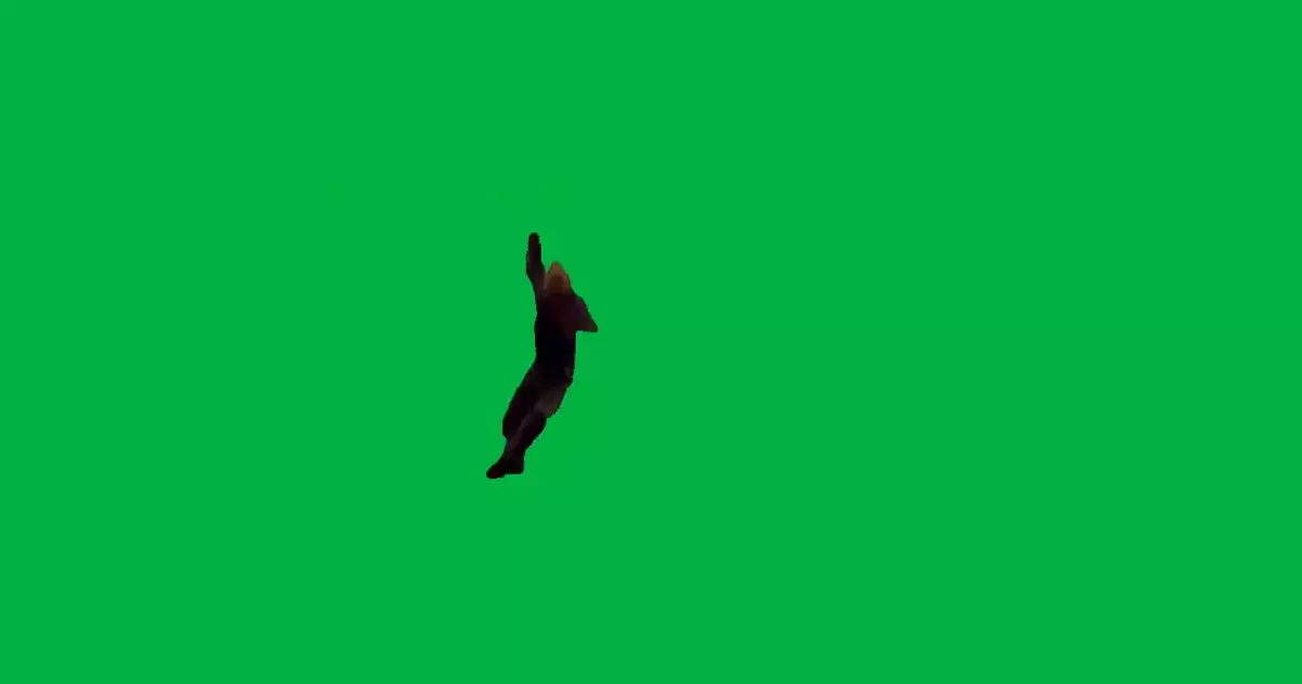 Walter White Falling Meme Download Video