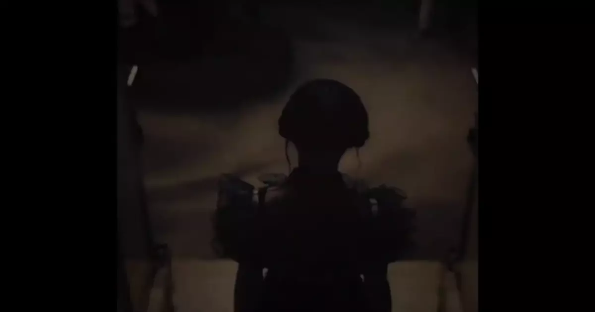 Wednesday Addams Girl Attitude Meme Download Video