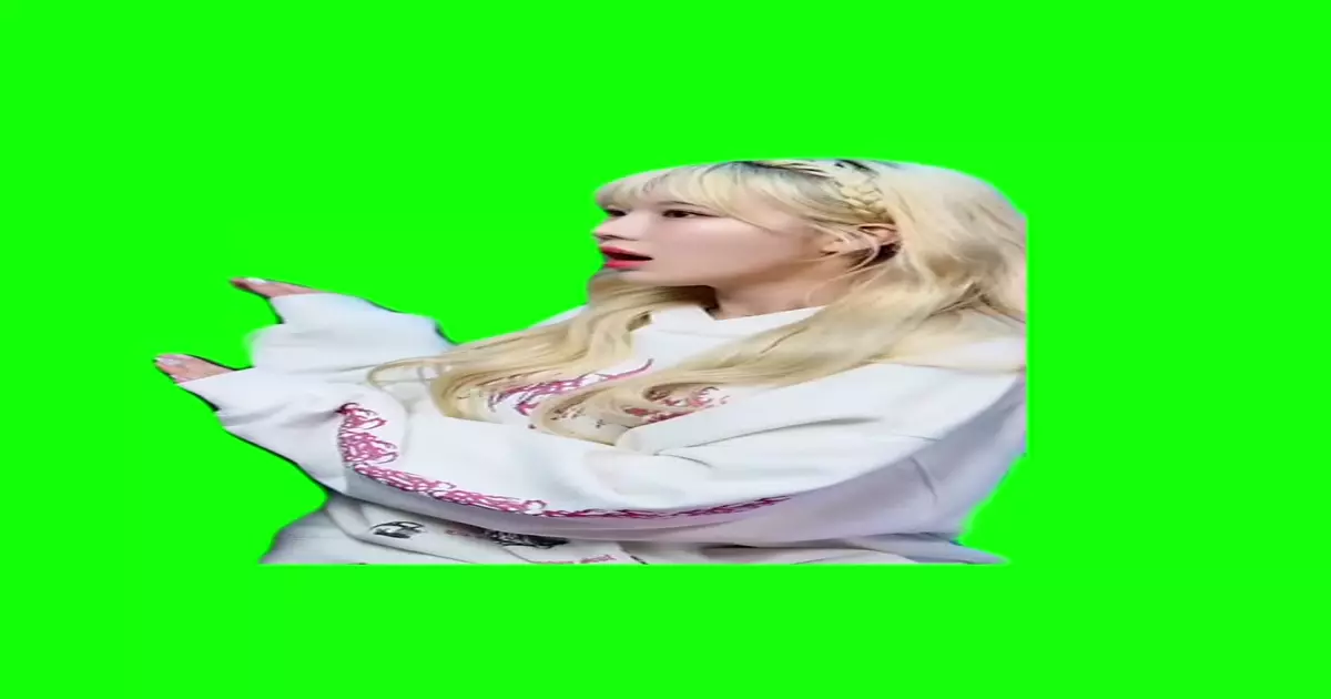 Whos That Sexy Thang Sitting In The Mirror Green Screen Meme Download Video