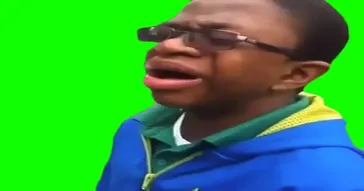 Crying Seal Green Screen Meme Download | Video & Audio Meme Video