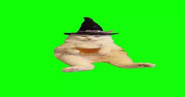Wizard Cat Drinking Beer Green Screen Meme Video