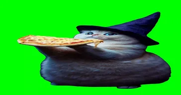 Wizard Cat Eating Pizza Green Screen Meme Video