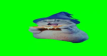 Wizard Cat Eating Pizza Meme Video