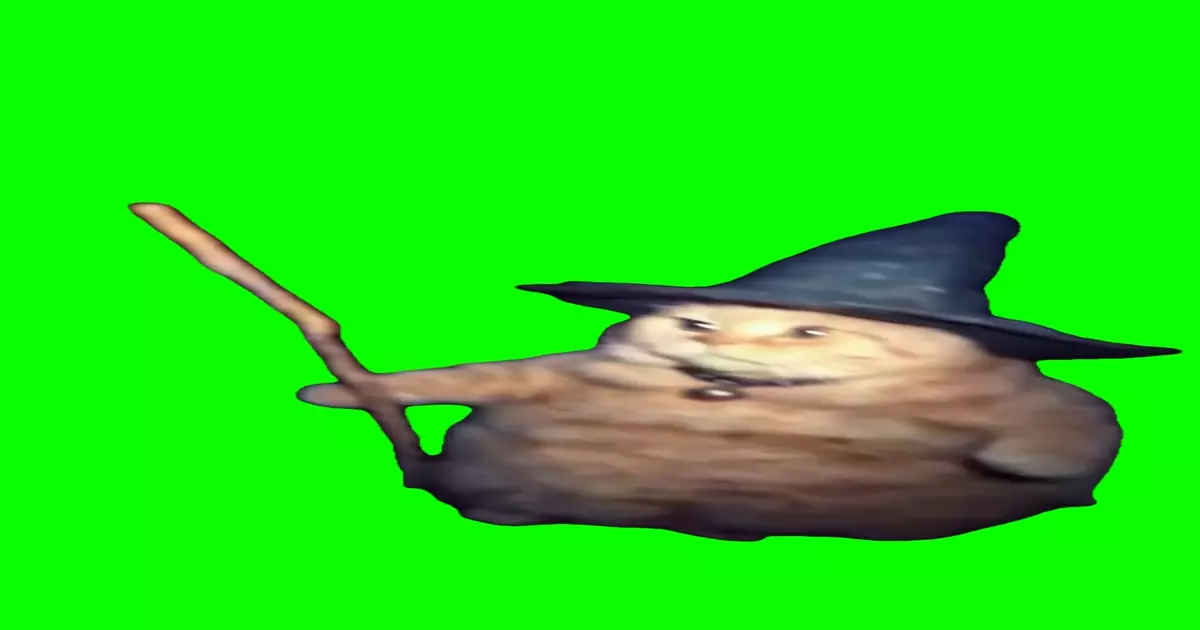 Wizard Kitty Green Screen Meme Download Video
