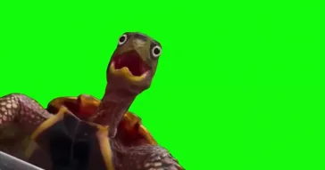 Crash Bandicoot Woah Green Screen Meme Download | Video & Audio Meme Video