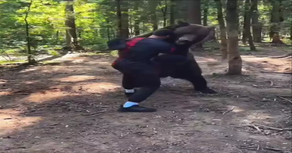 Wrestling A Russian Bear Meme Download Video