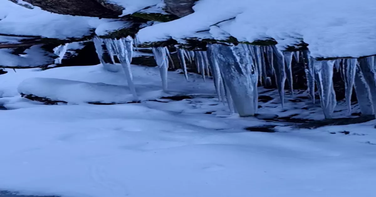 Xxxxx Meme Download Video