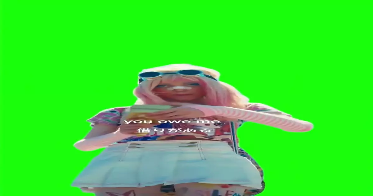 You Owe Me Money Meme Download Video